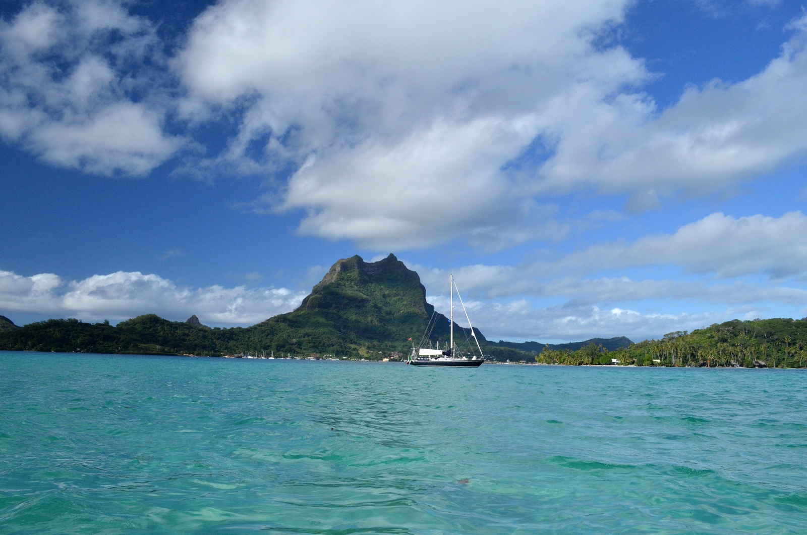 Alpa 11.50 a Bora Bora