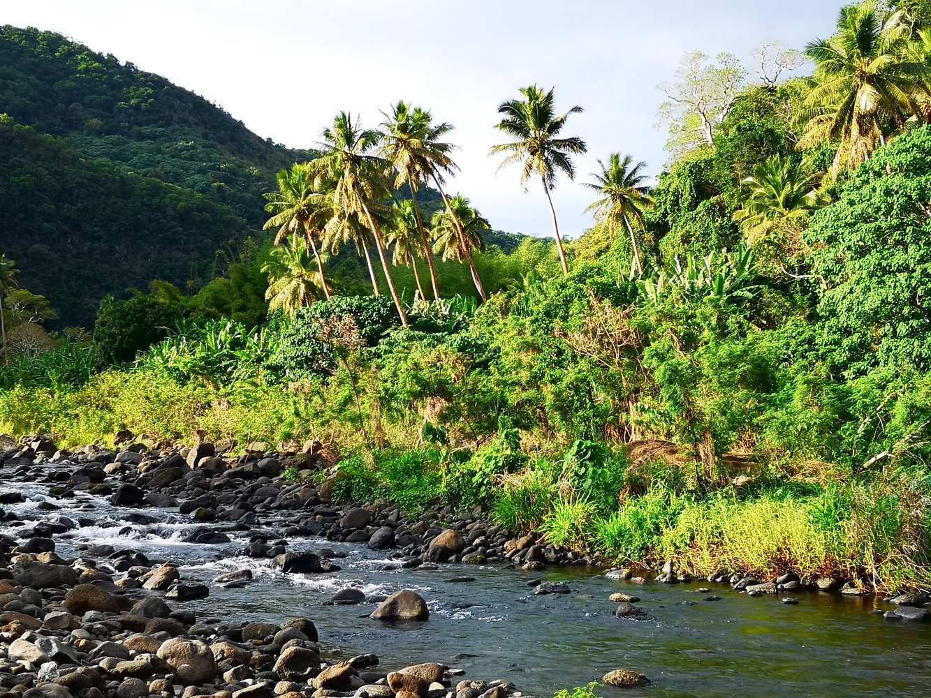 Vanuatu