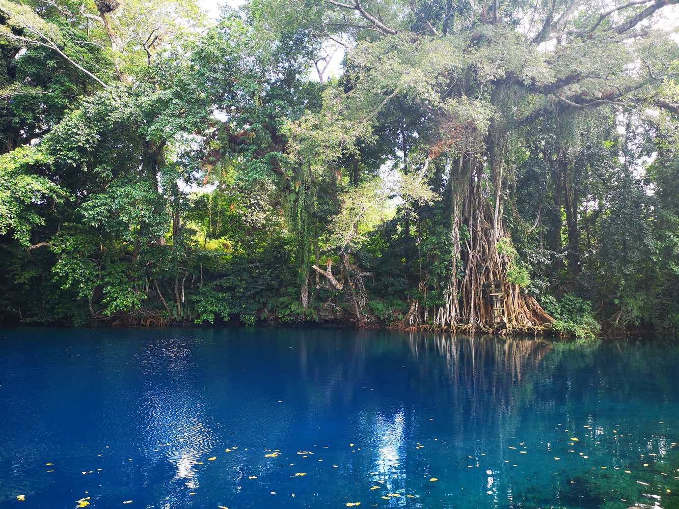 Vanuatu